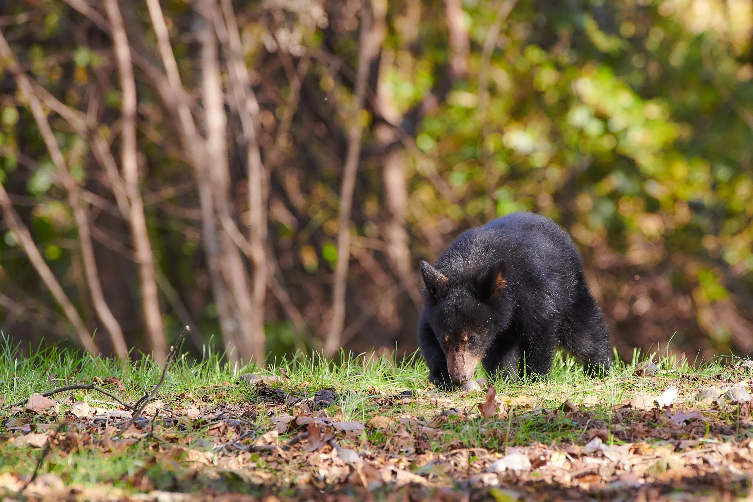 DSC_1677 1.jpg