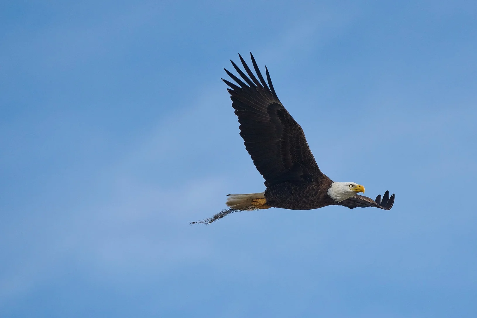 DSC_6216+1.jpg