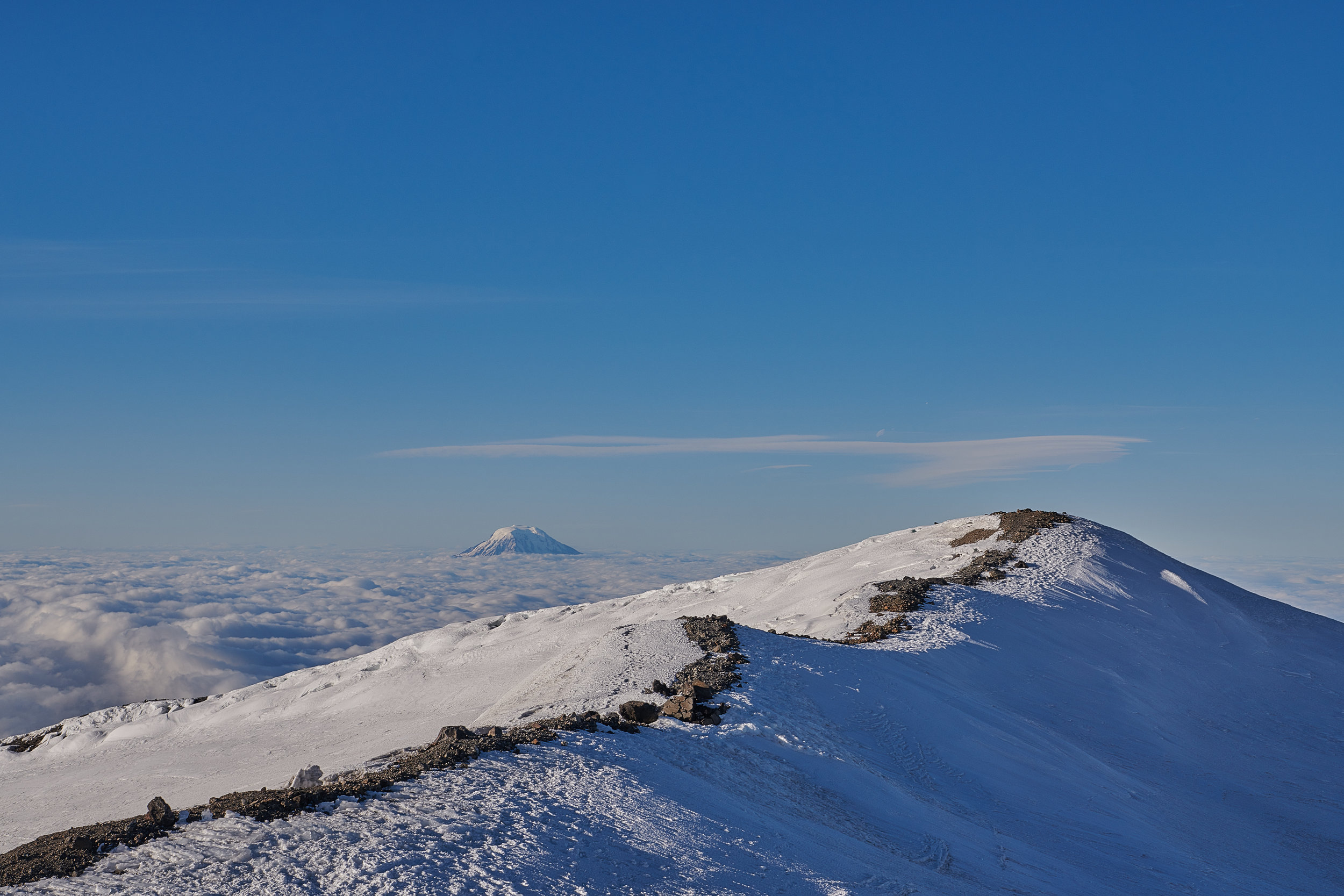 DSC_8112 1.jpg