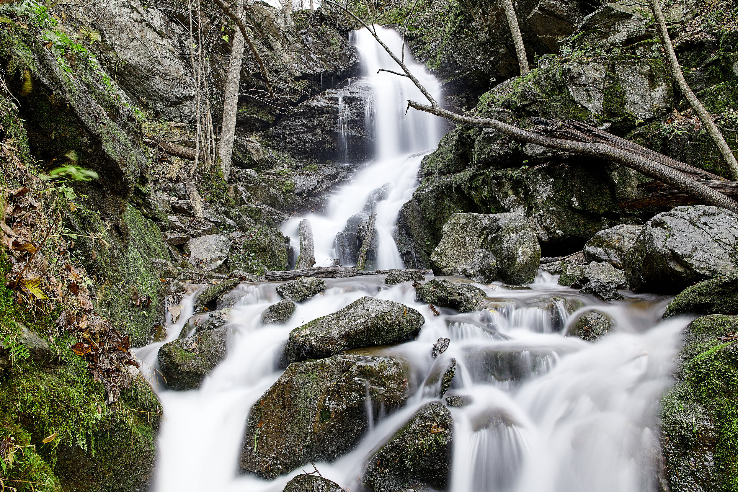DSC_2400 2.jpg