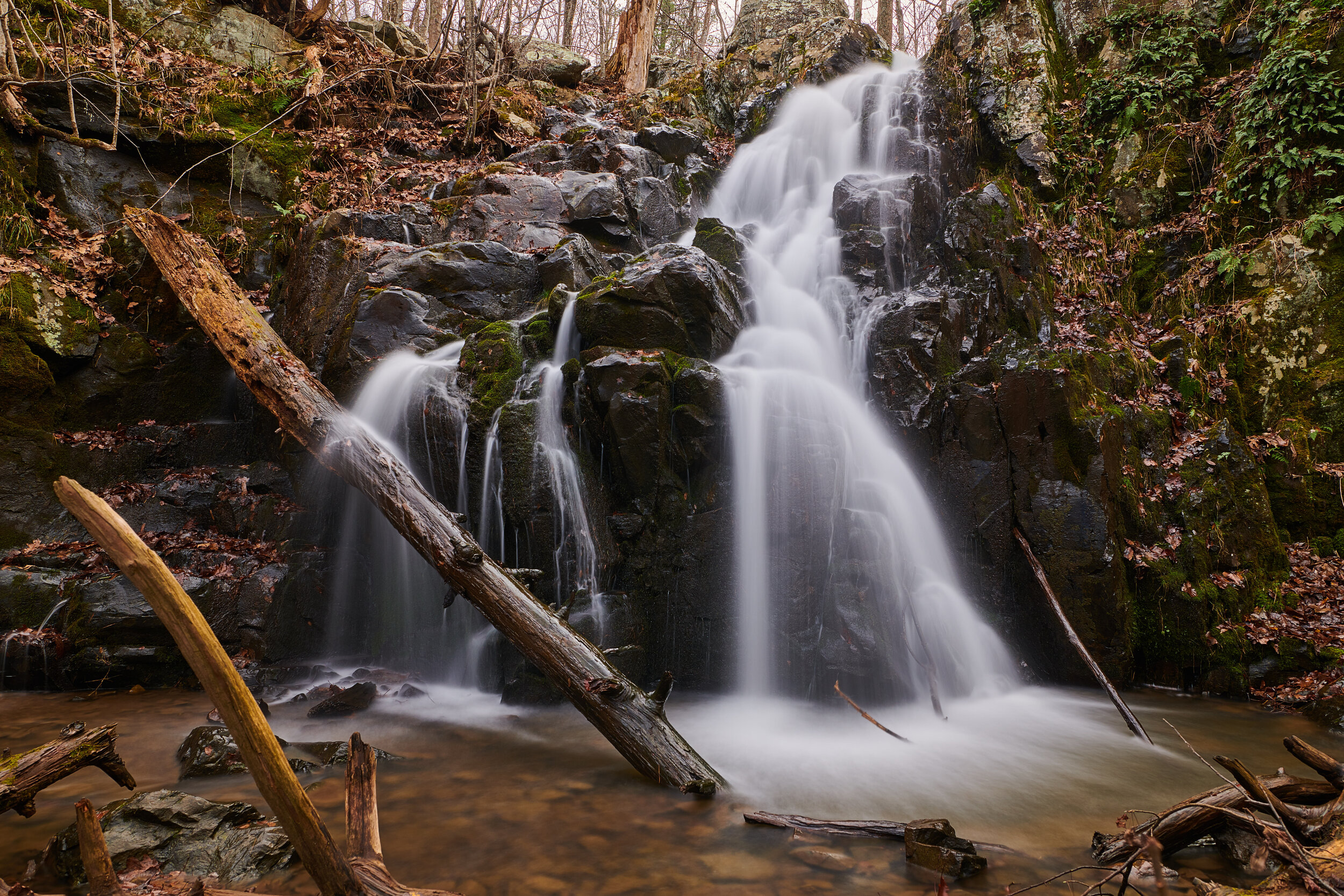 DSC_2504 1.jpg