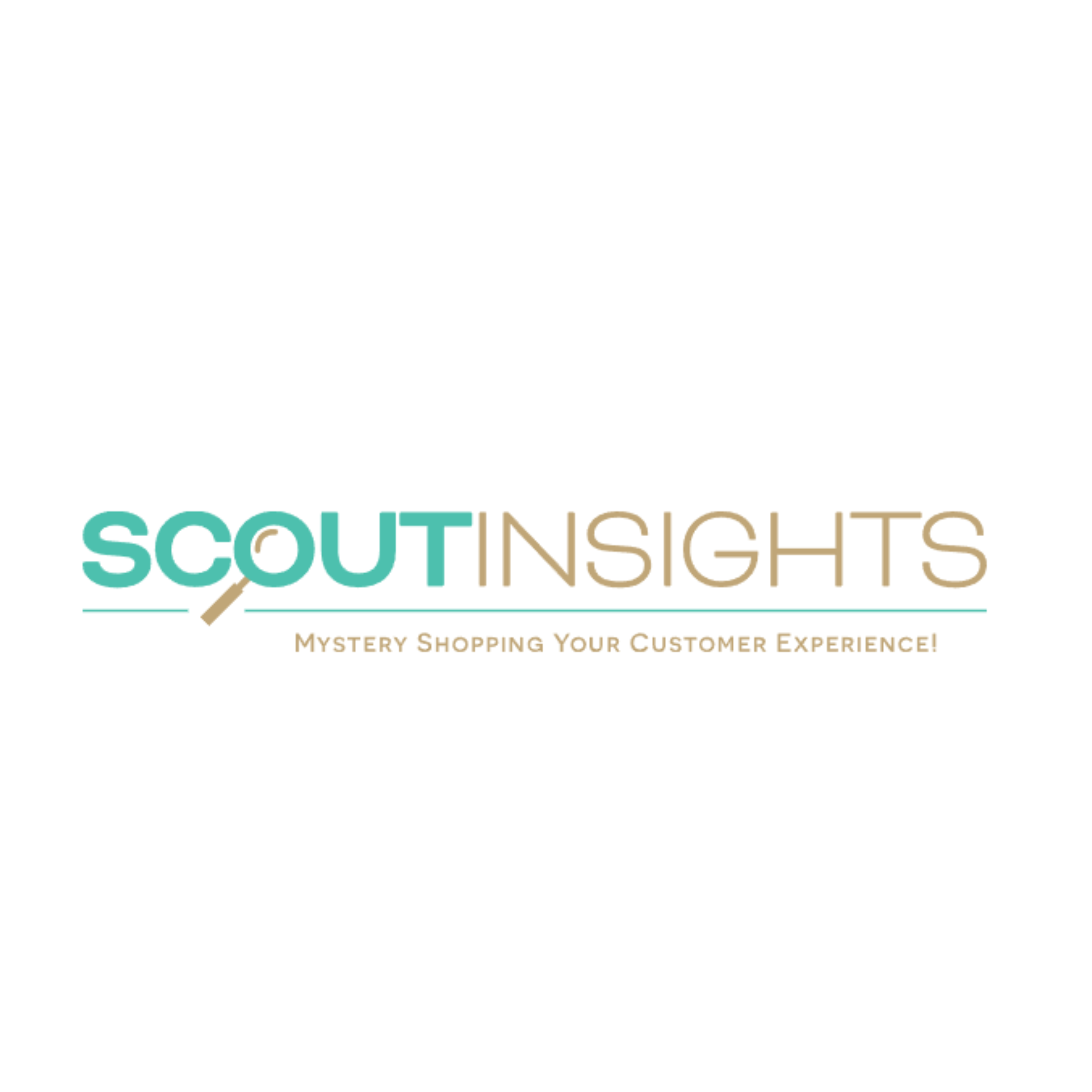 SCOUT INSIGHTS (1).png