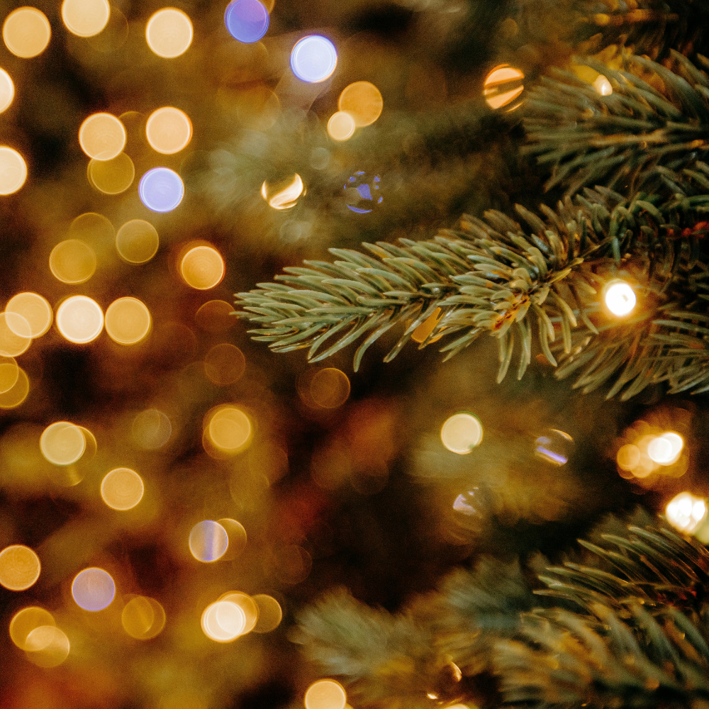 A1/A2/B1 (Dùbh. '25)