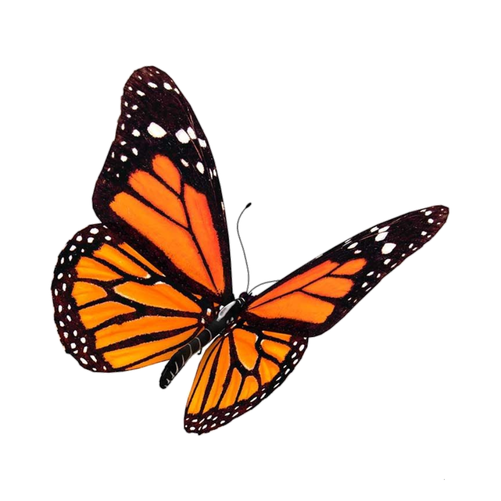 #20: Latha nan Dealan-dè