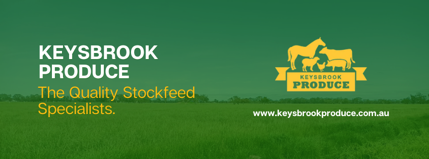 FB banner.png