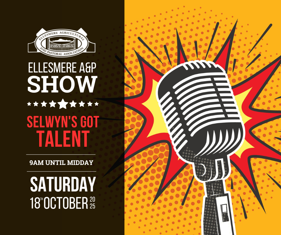2025 SGTalent (Facebook Post).png