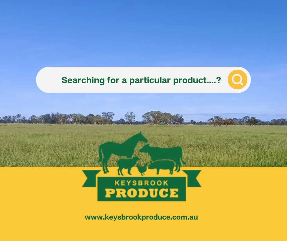 Searching for a product.png