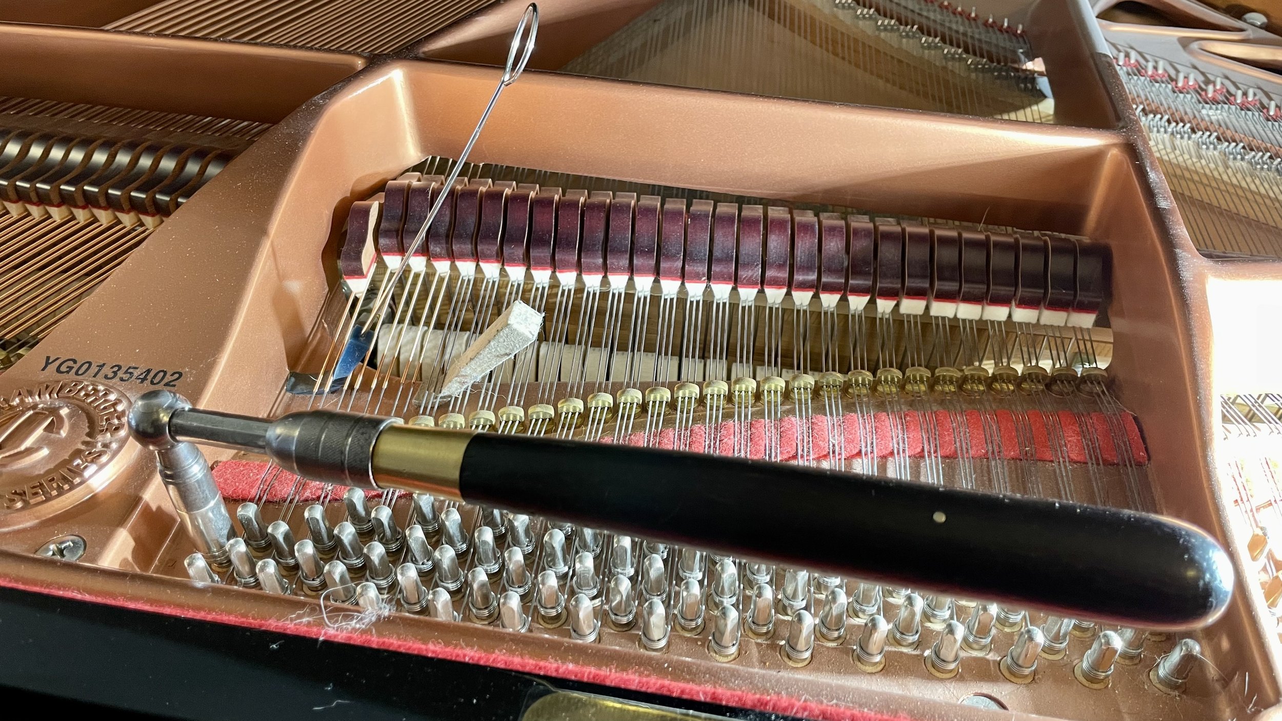 Tuning or Pitch Raise?