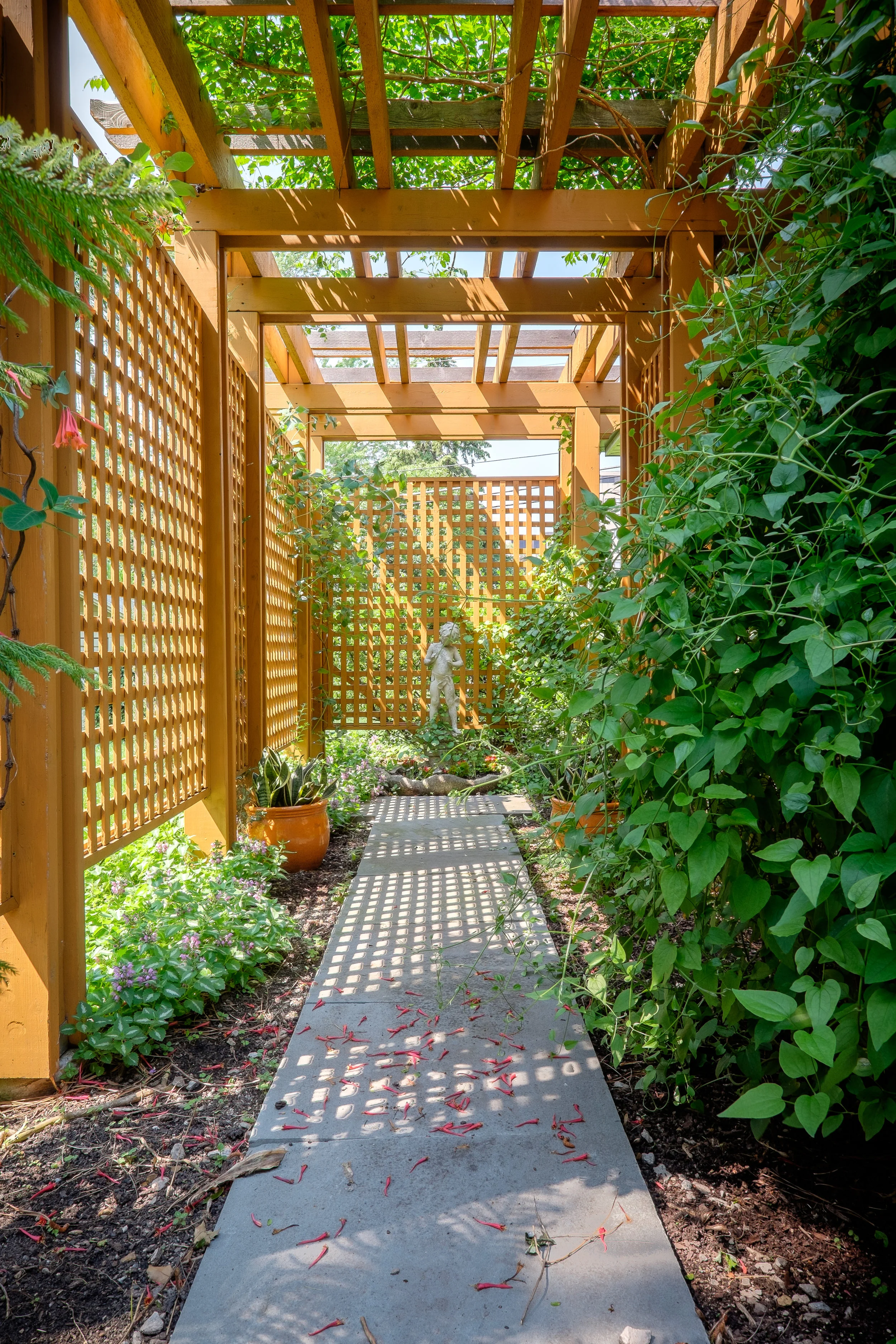garden-43.jpg