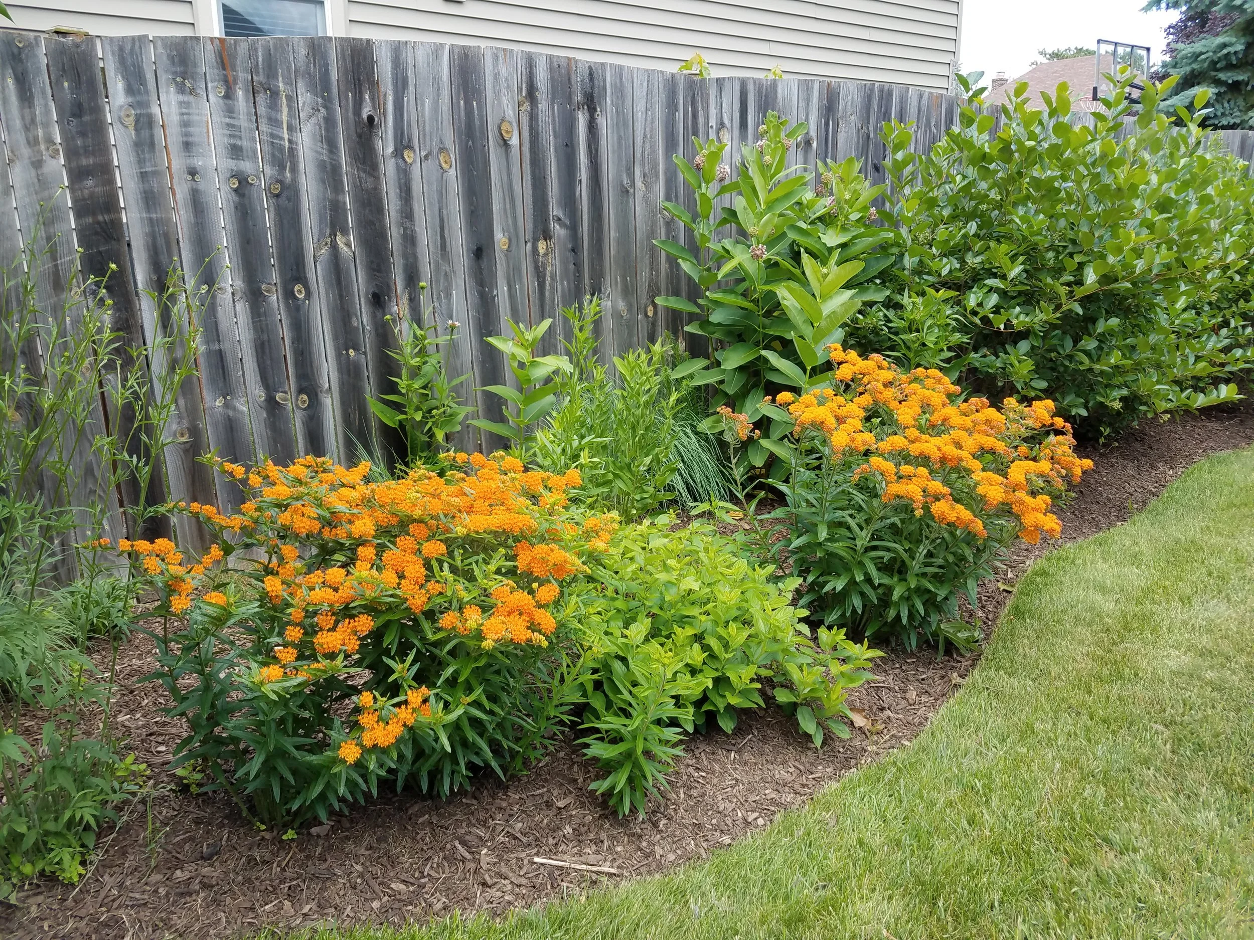 20170627_154206.jpg