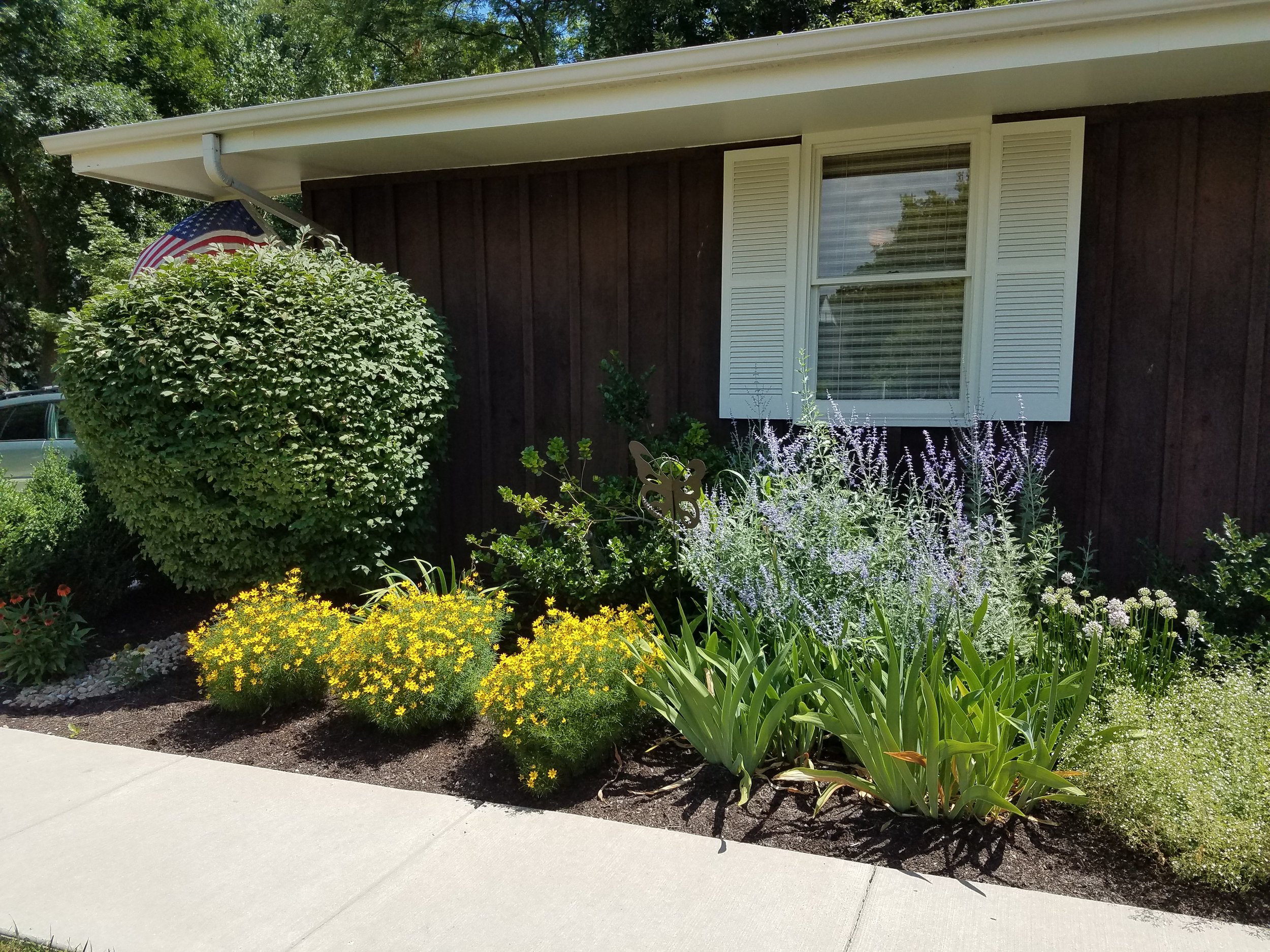 20180717_121241.jpg