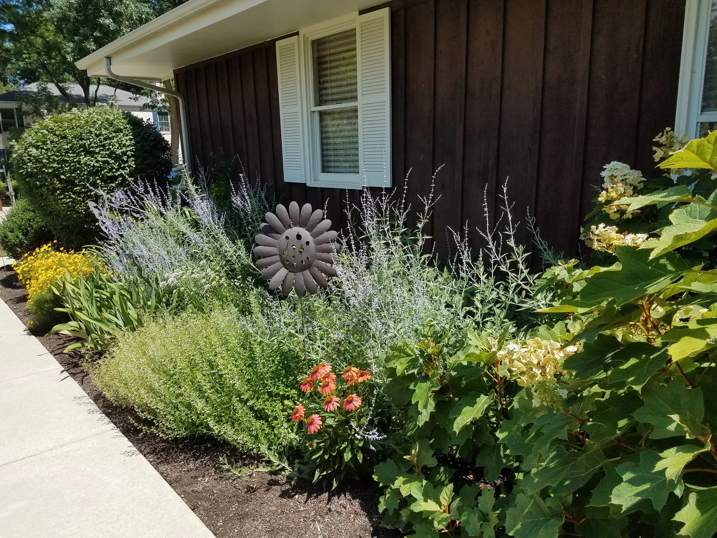 20180717_121159.jpg