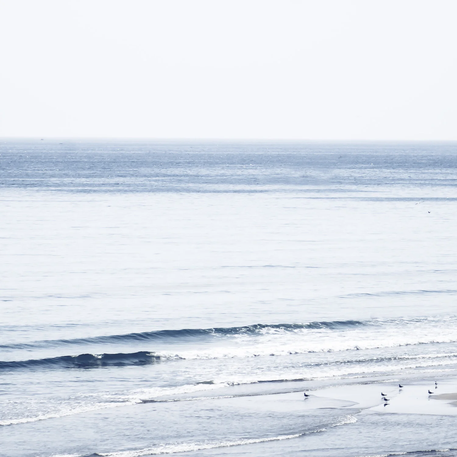 Coastal Cindy Taylor Fine Art Photography