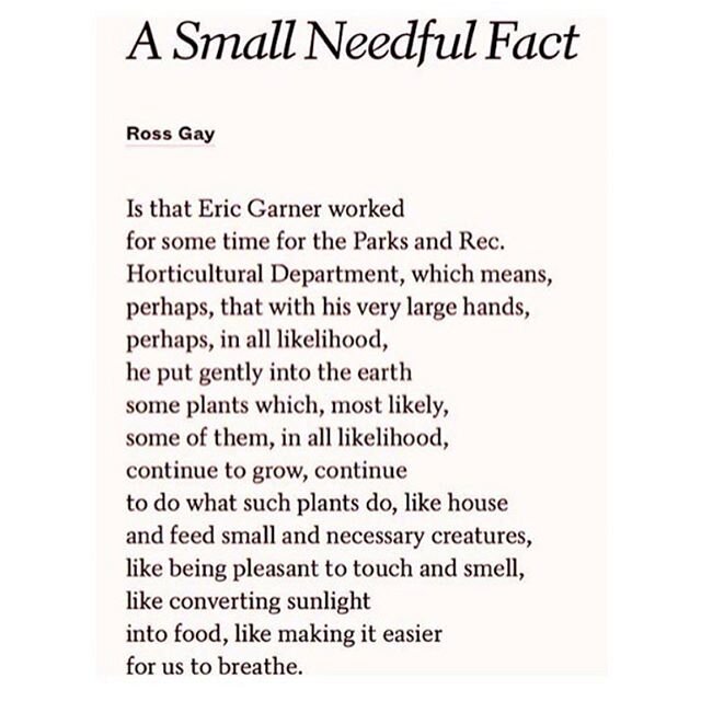 BLACK LIVES MATTER (Copyright &copy; 2015 by Ross Gay. Reprinted from Split This Rock&rsquo;s The Quarry: A Social Justice Poetry Database)