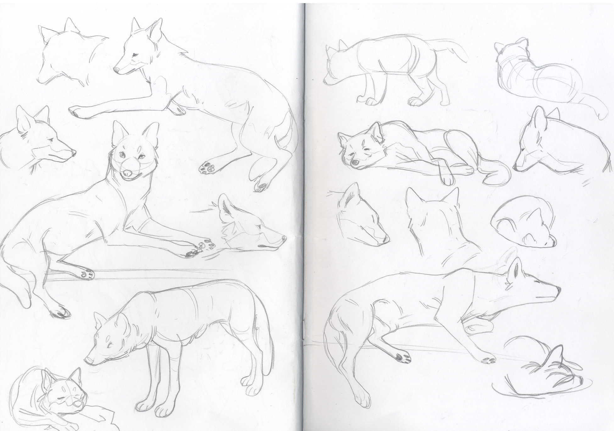 Wolves.png