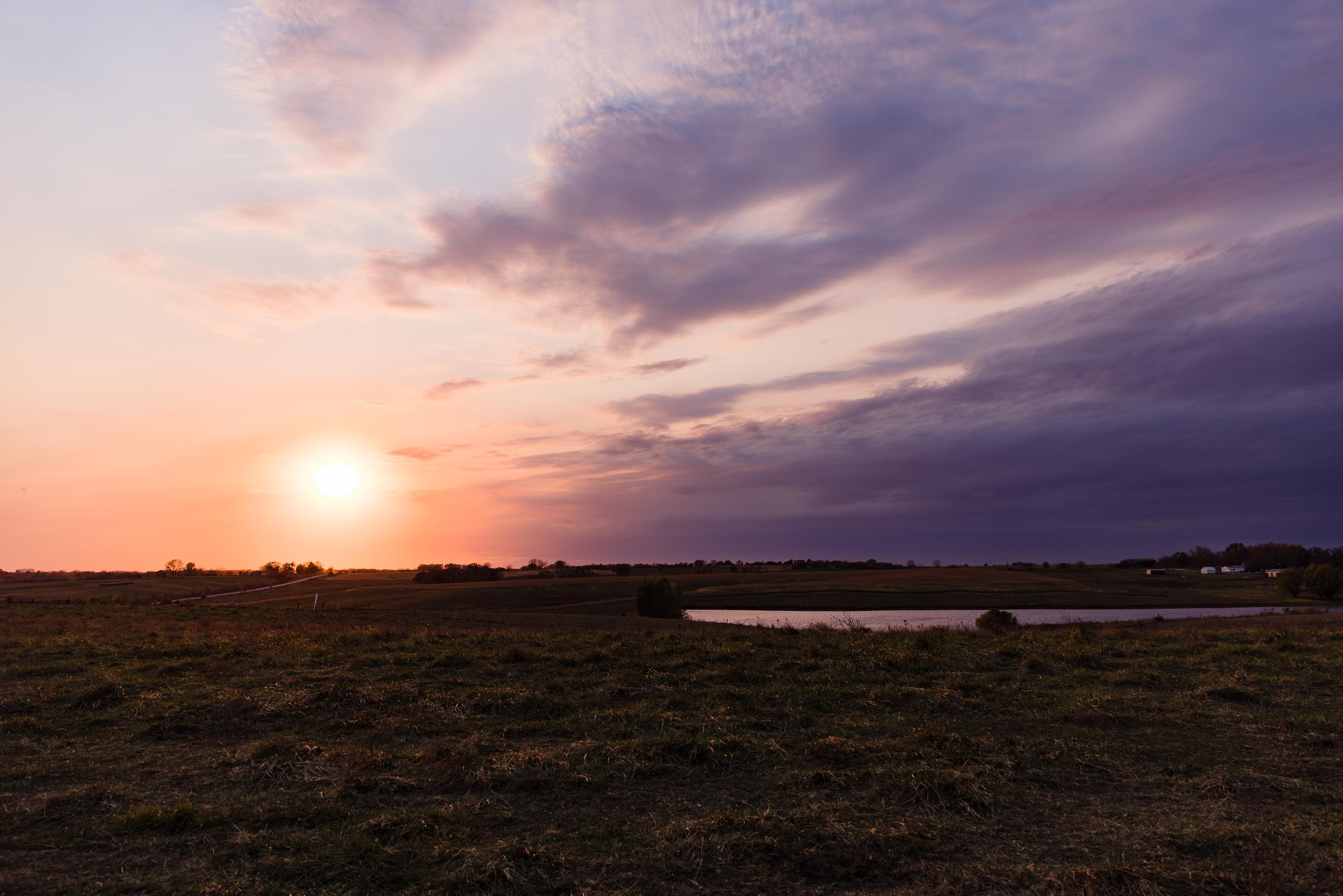 Lynch Farm-2.jpg
