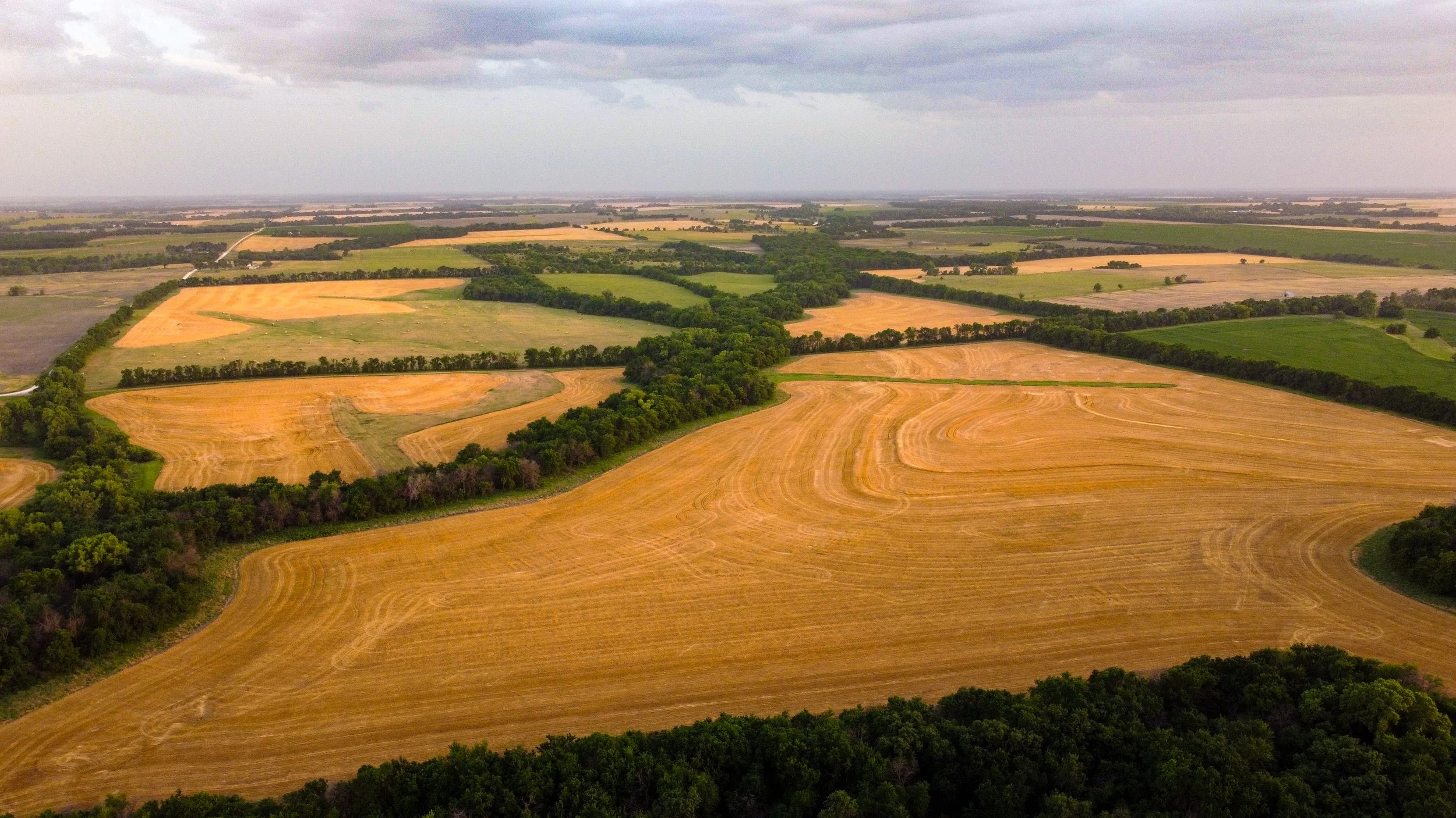 Peters Farm Aerial-4.jpg