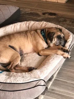 Oscar - 2.jpg