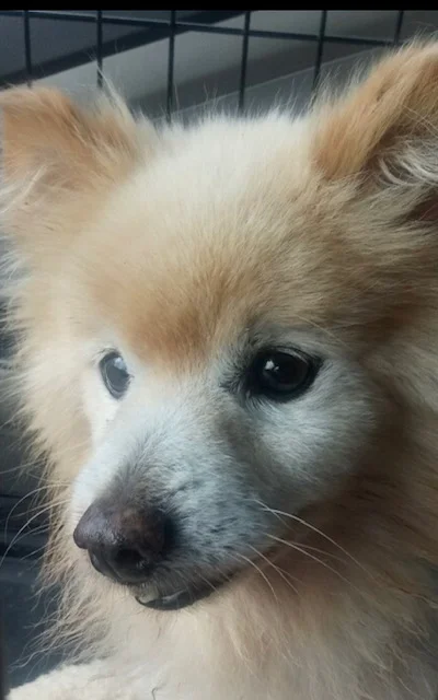 Payton - 1.jpg