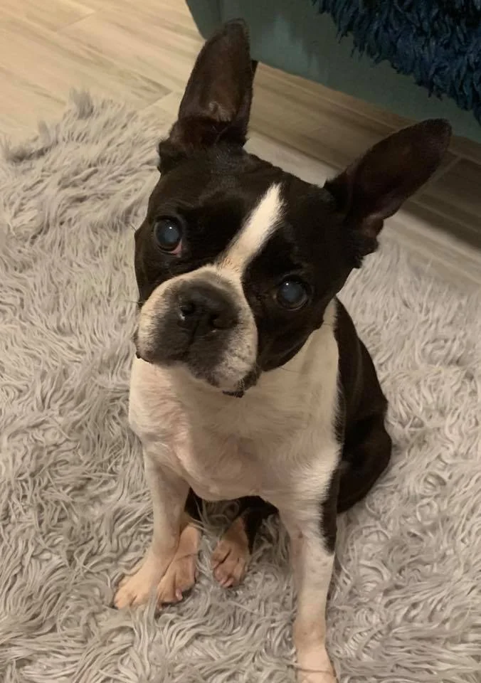 Peanut.jpg