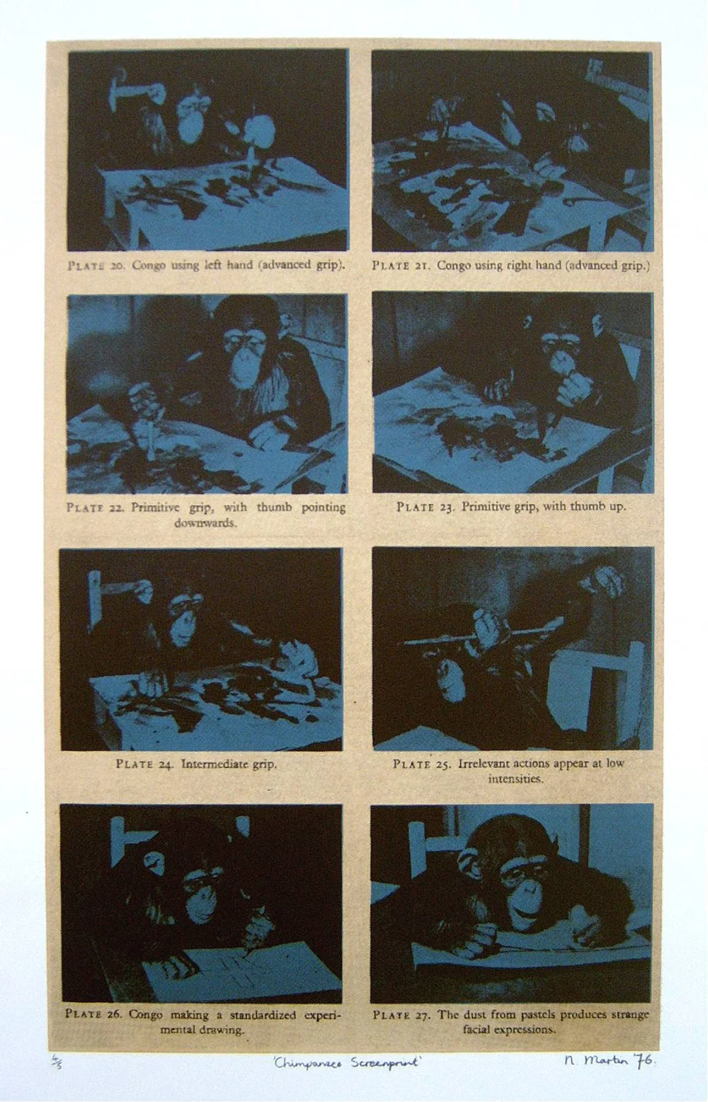 Chimpanzee Screenprint (4/5)