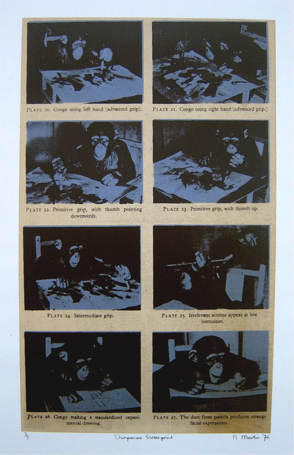 Chimpanzee Screenprint (2/5)