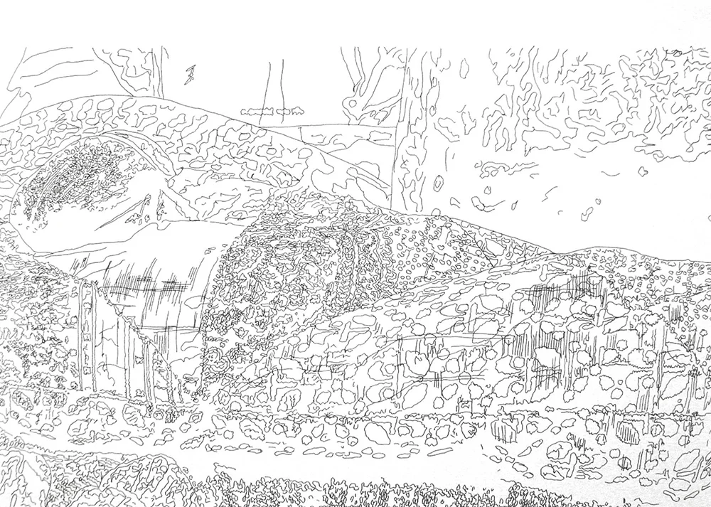 Map 11