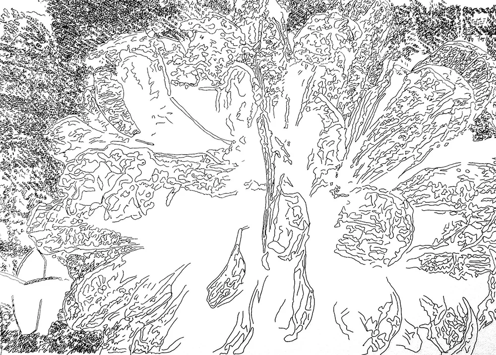 Map 14