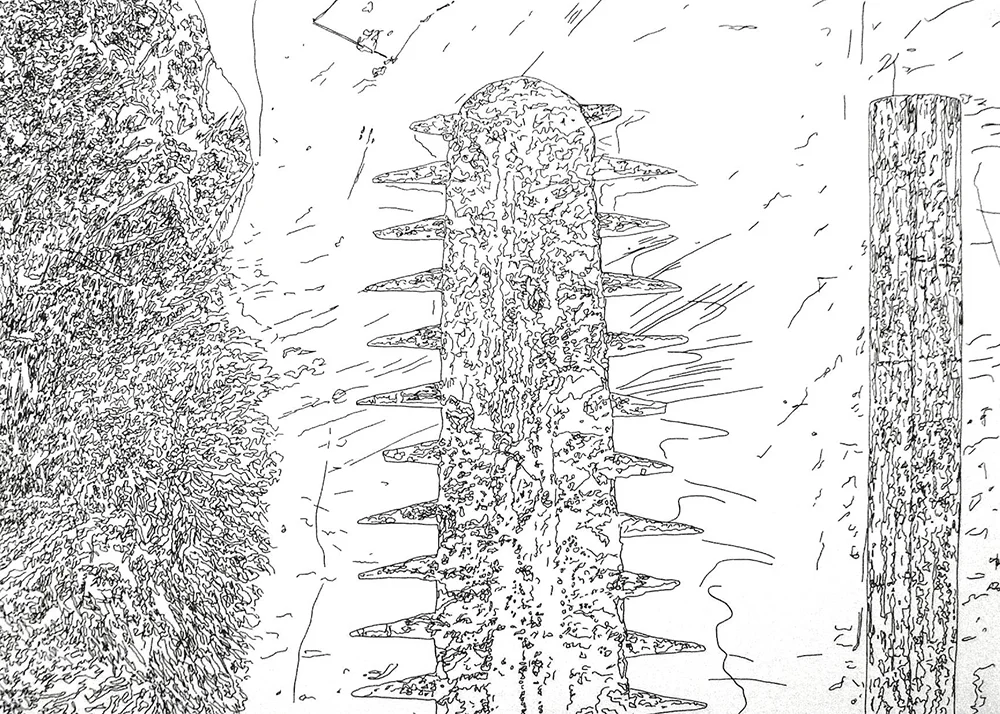Map 34