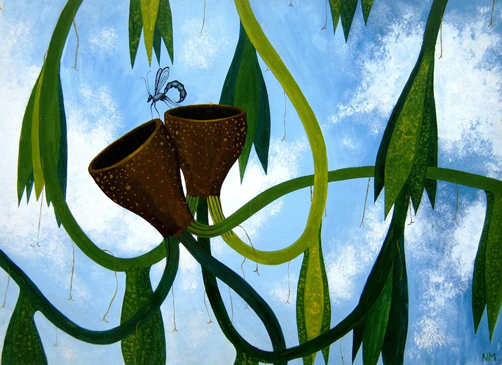 Exotic Plants with Fly