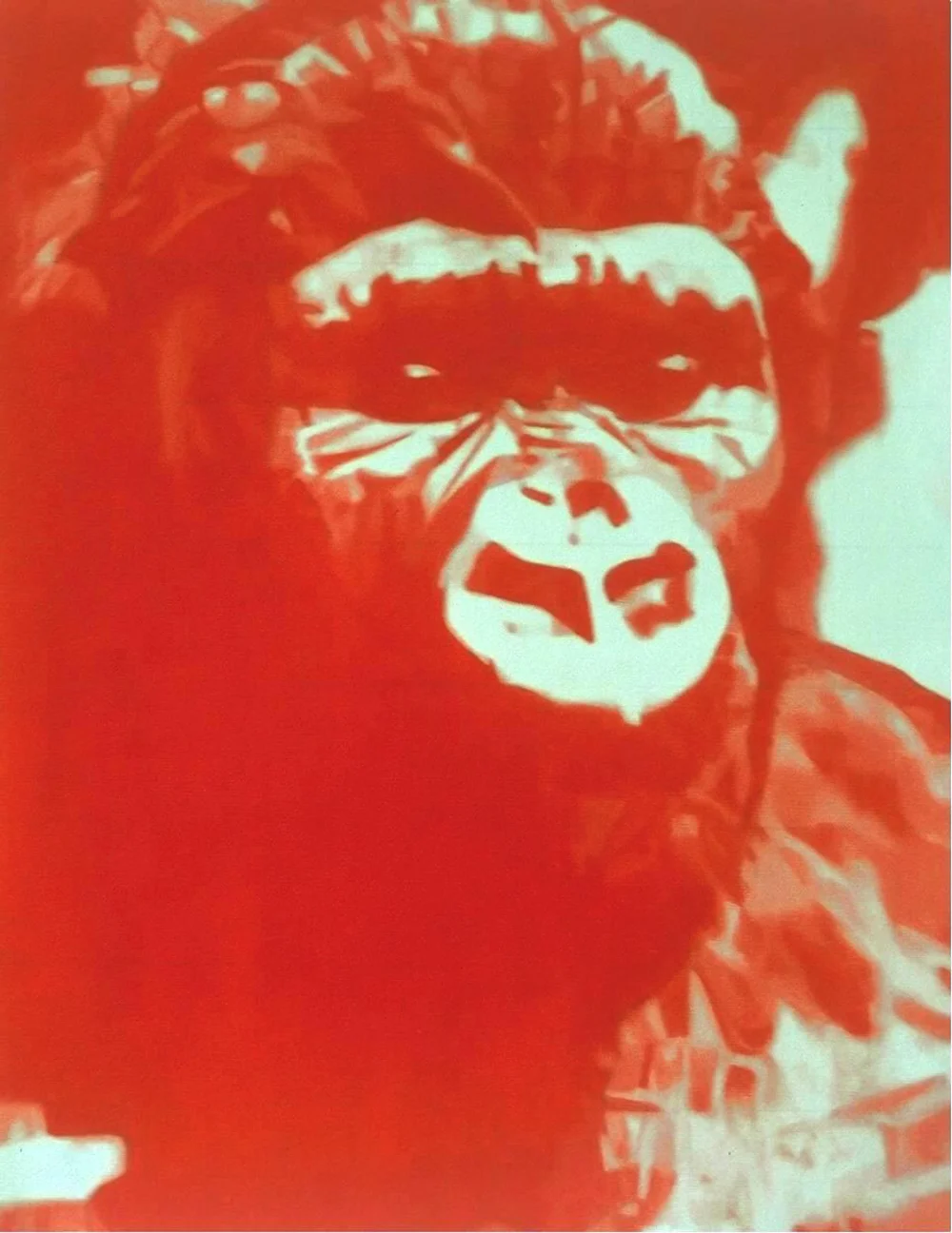 Red Gorilla