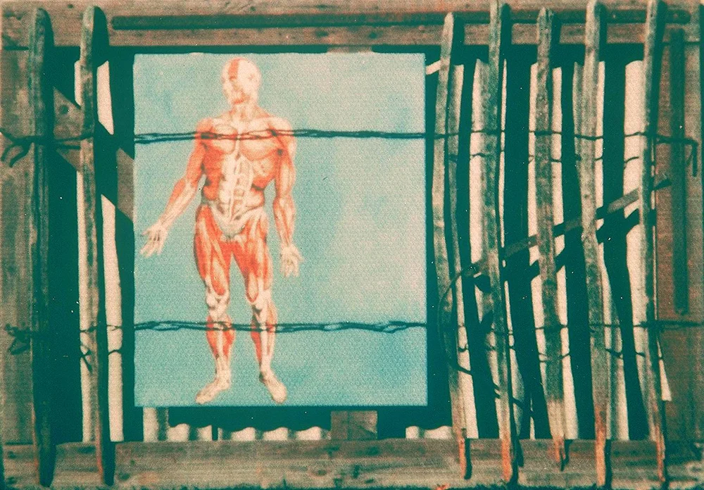 Wood, Metal and Muscles 🔴