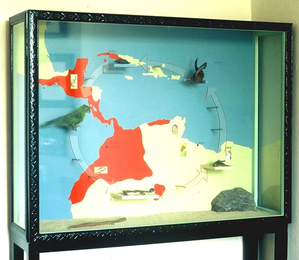 Exhibit (detail)