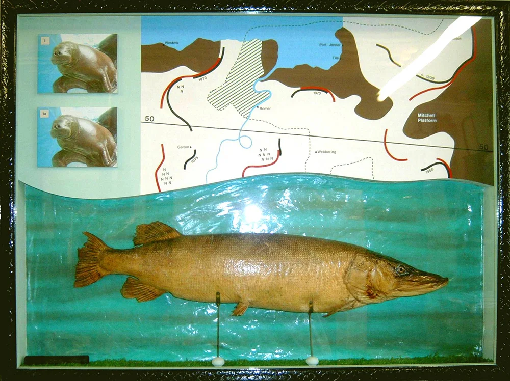 Exhibit