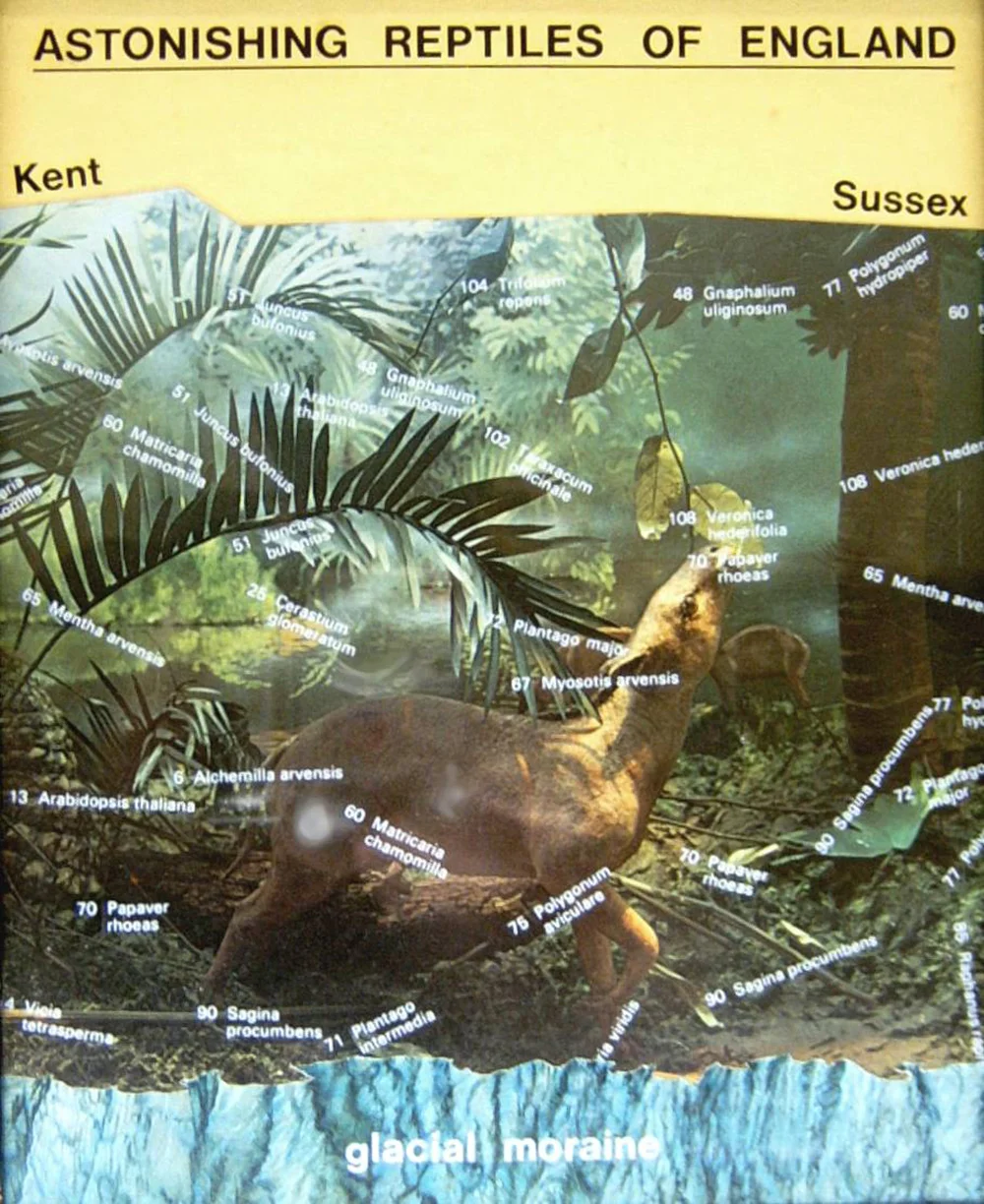 Exhibit