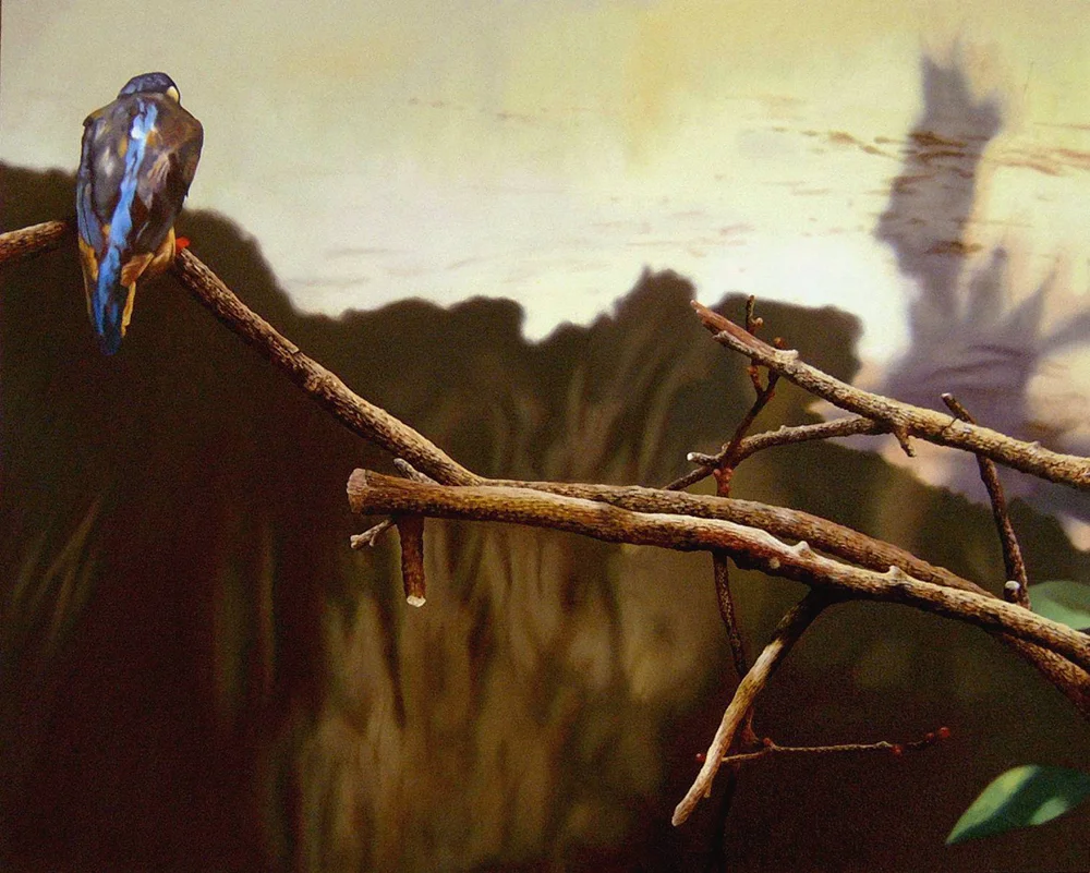 Dead Nature with Kingfisher 🔴