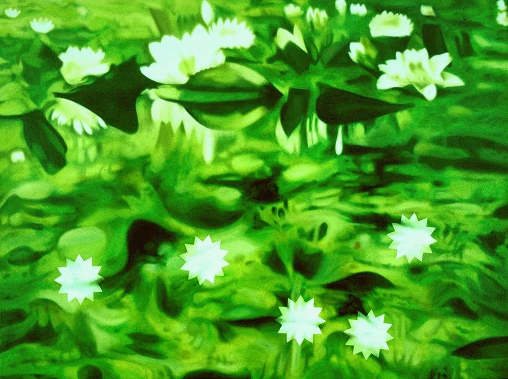 Waterlilies 🔴