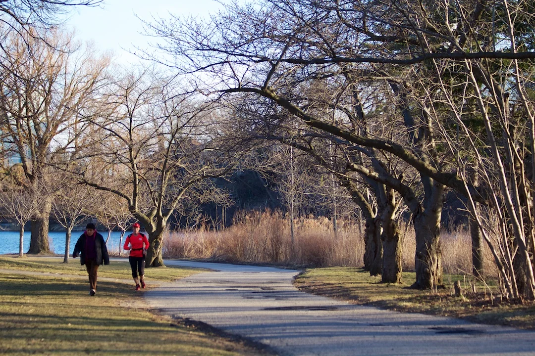 Sakura Watch, April 4, 2013 - Closed buds survive the cold