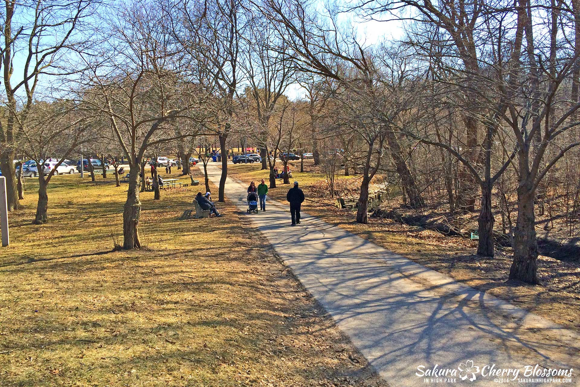 Sakura-HighPark-Apr62014-i1.jpg