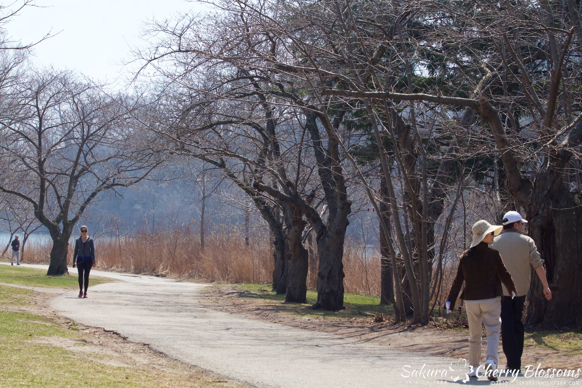 SakurainHighPark-Apr1715-1992.jpg