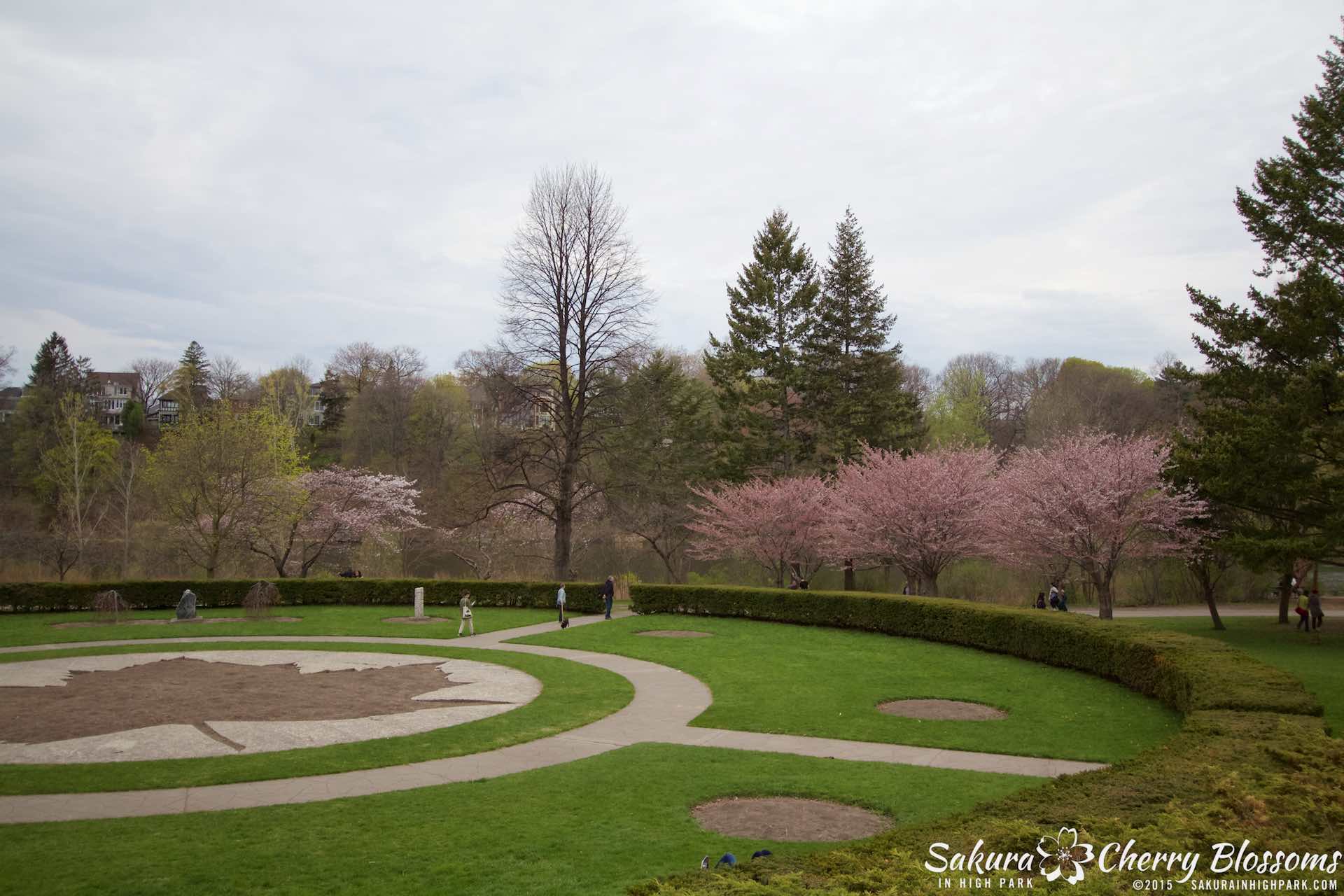 SakurainHighPark-May515-2054.jpg