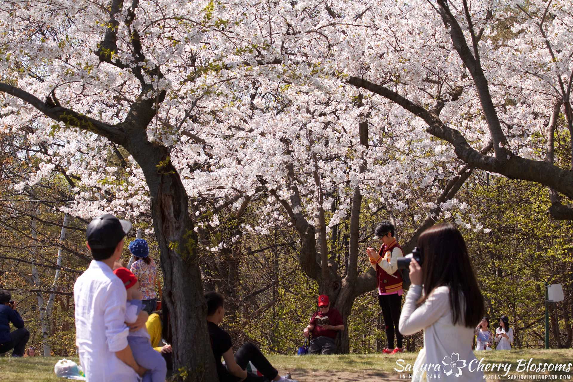 SakurainHighPark-May715-2310.jpg