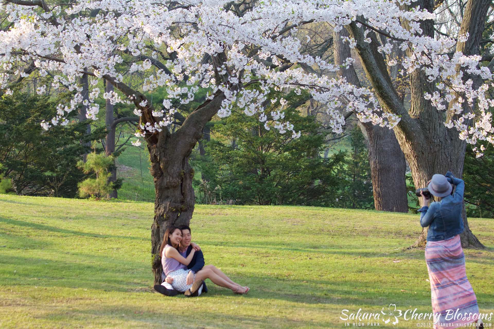 SakurainHighPark-May815-1980.jpg