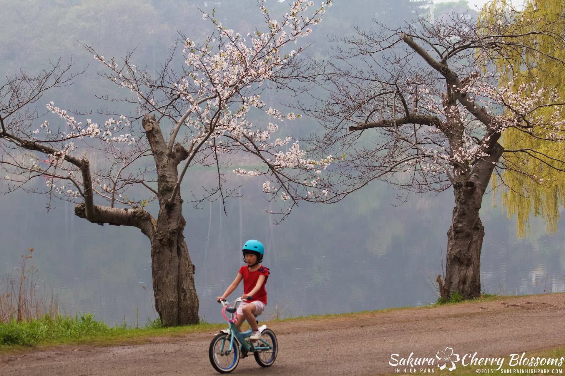 SakurainHighPark-May1015-2024.jpg