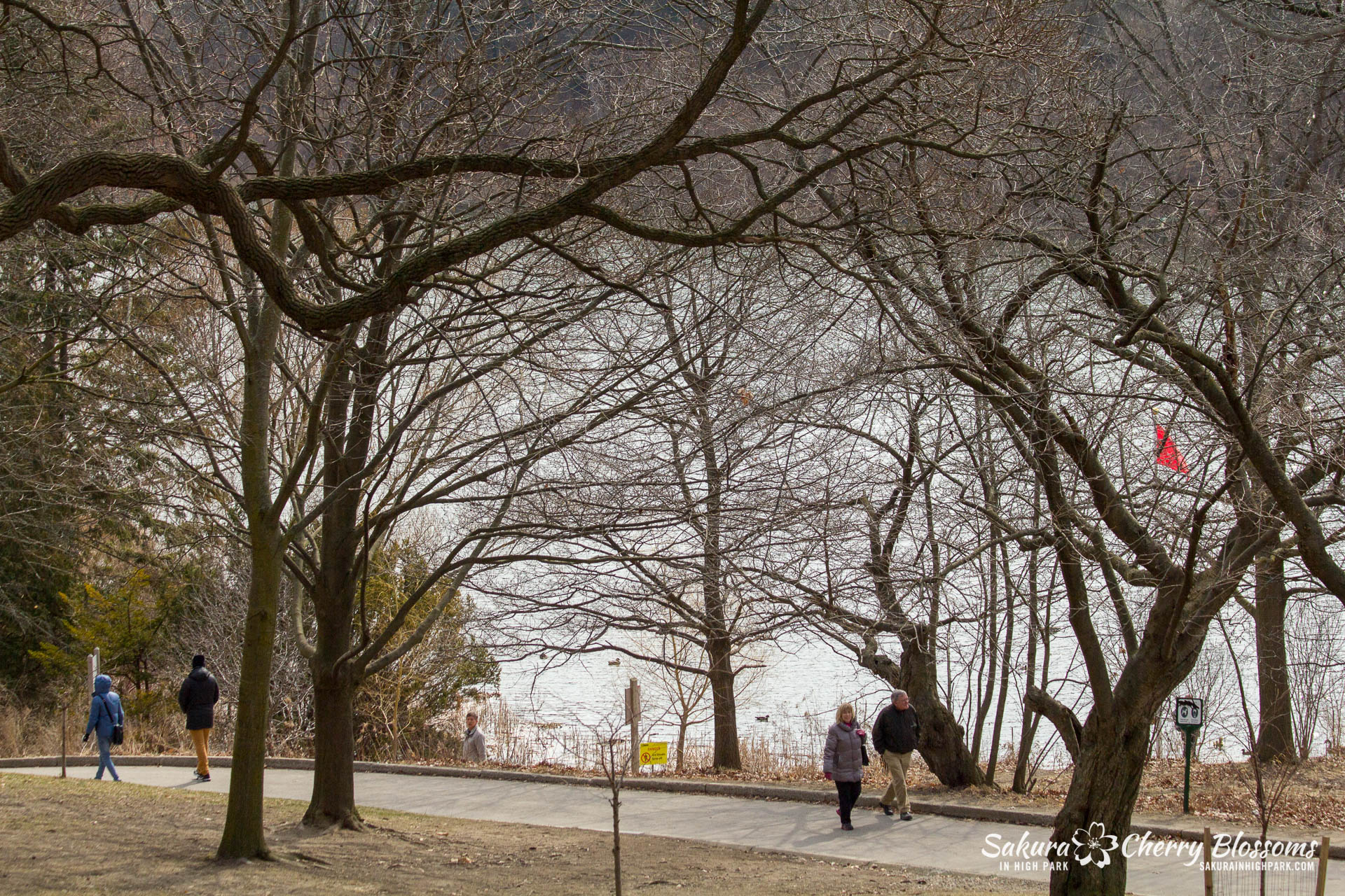 Sakura-Watch-March-28-2018-46.jpg