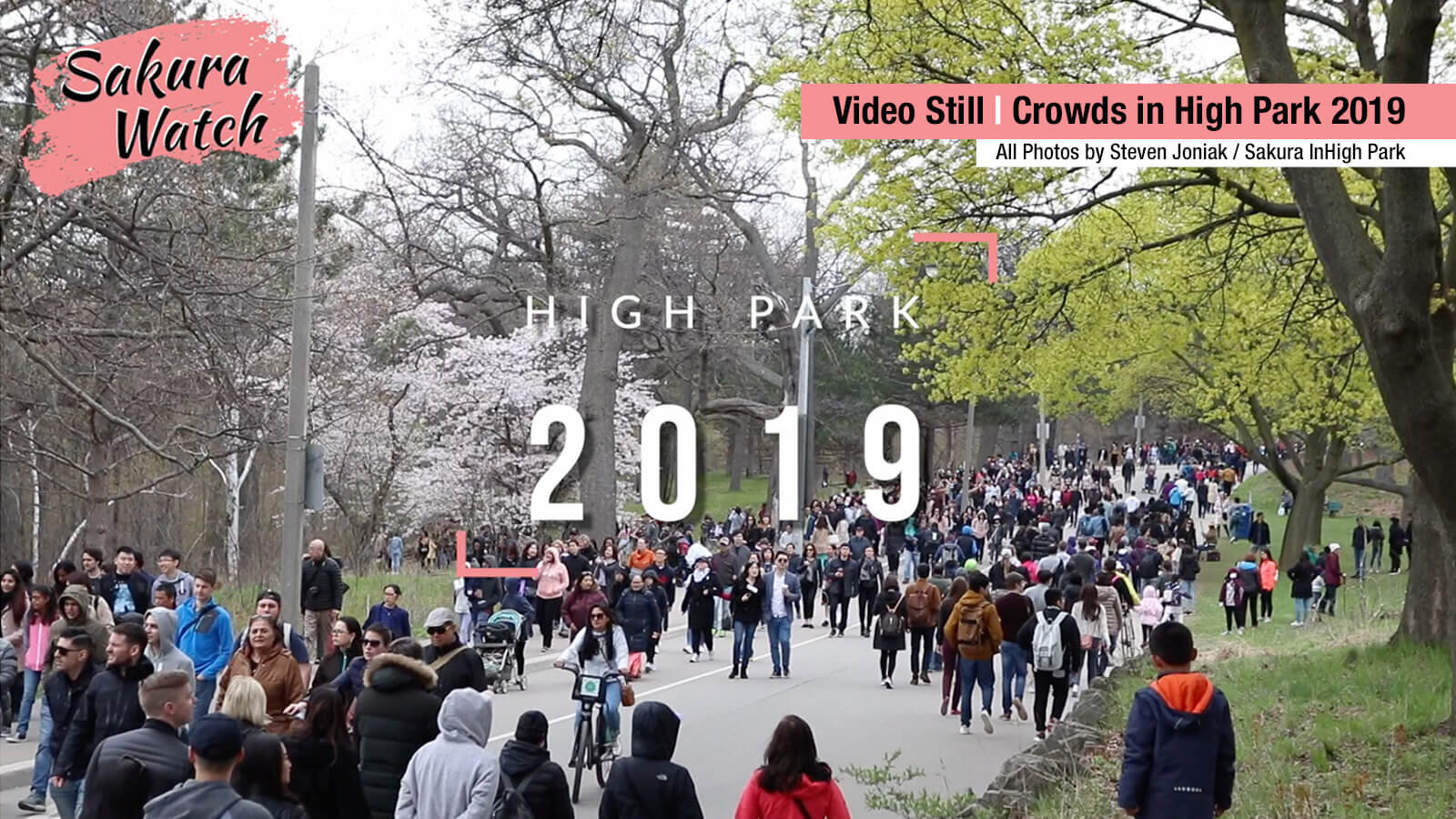 Sakura-Watch-crowds-2020.jpg