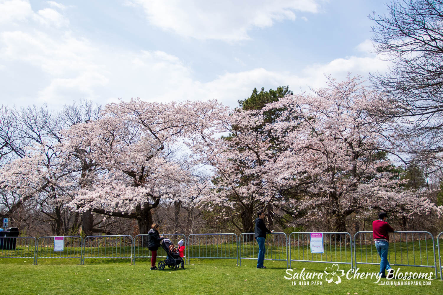Sakura Watch April 23, 2021-13.jpg