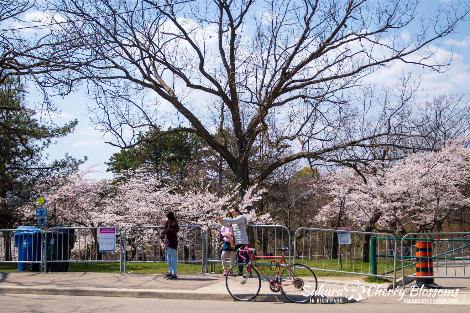 Sakura Watch April 23, 2021-272.jpg