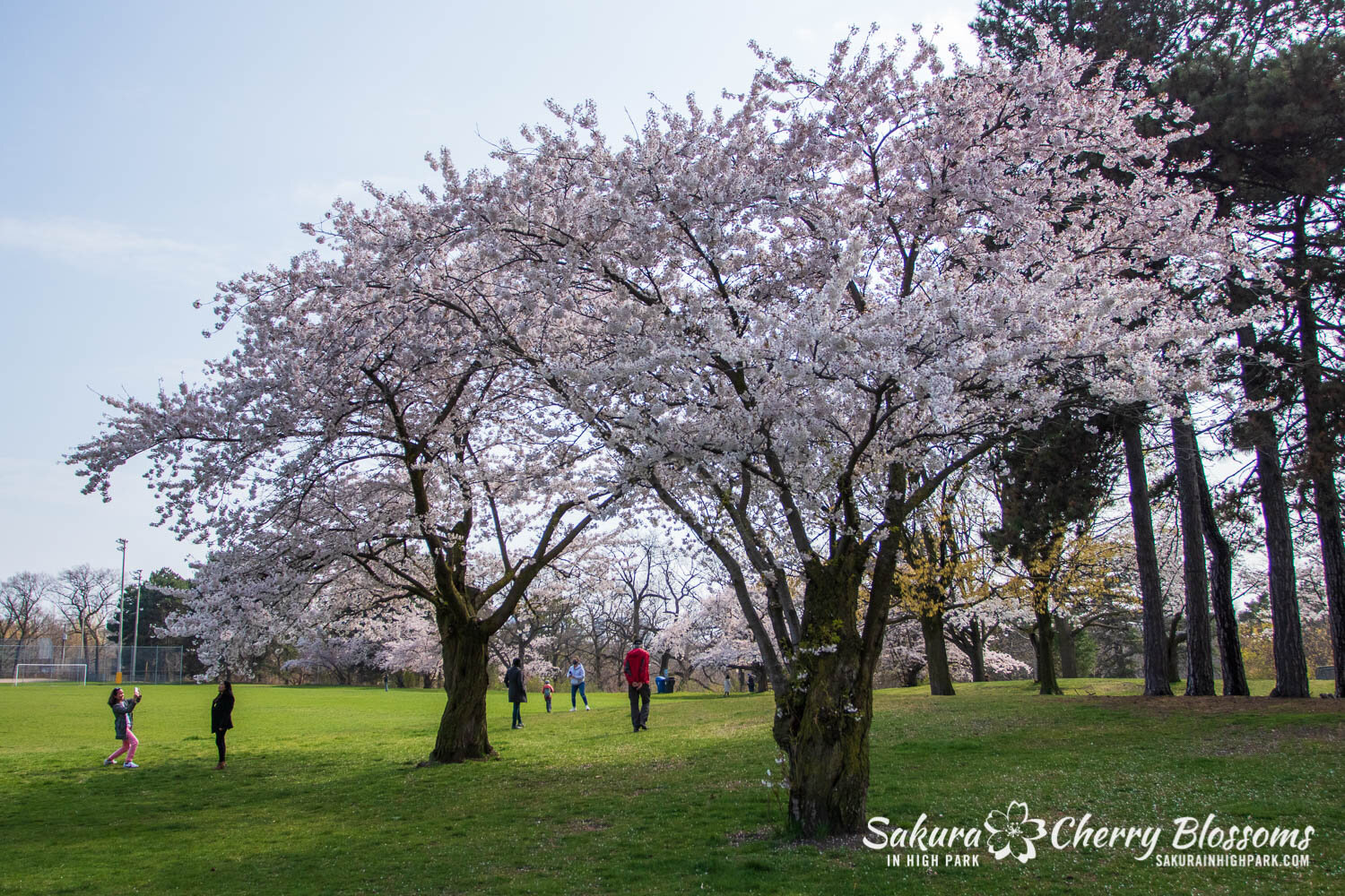 Sakura Watch April 28, 2021-261.jpg