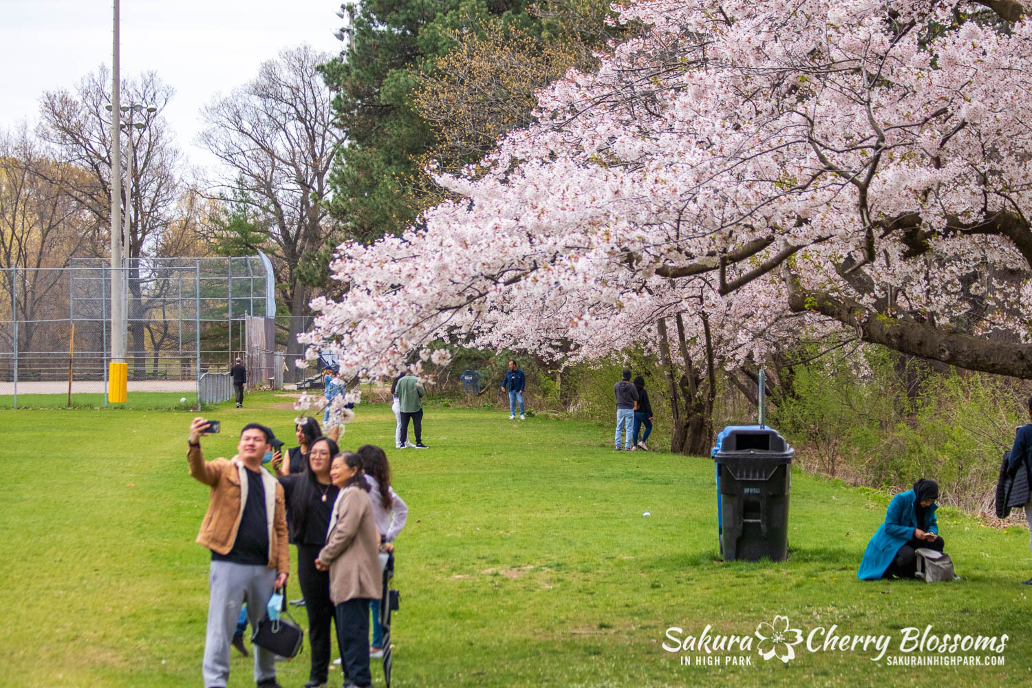 Sakura Watch May 2, 2021-123.jpg